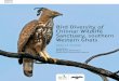 Bird Diversity of Chinnar Wildlife Sanctuary, southern Western Ghats