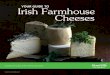YOUR GUIDE TO Irish Farmhouse Cheeses