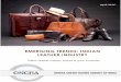 Emerging Trends: Indian Leather Industry