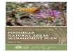 FOOTHILLS NATURAL AREAS MANAGEMENT PLAN