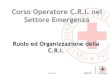 Ruolo e Organizzazione della CRI.pdf