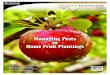 Managing Pests in Home Fruit Plantings