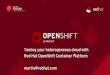 Taming your heterogeneous cloud with Red Hat OpenShift 