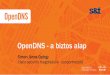 OpenDNS - a biztos alap
