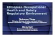 Ethiopian Occupational Health and Safety Regulatory Environment