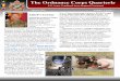 The Ordnance Corps Quarterly