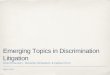 Emerging Topics in Discrimination Litigation