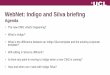 WebNet: Indigo and Silva briefing