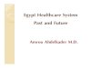 Egypt Healthcare System Past And Future - Pathology
