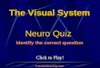The Visual System: Quiz Game