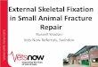 External Skeletal Fixation in Small Animal Fracture Repair