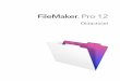 Didacticiel FileMaker Pro 12