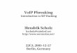 VoIP Phreaking Hendrik Scholz