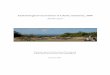 Archaeological excavations at L'Erée, Guernsey, 2010 - Interim report -