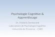 Apprentissage Psychologie Cognitive