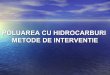 POLUAREA CU HIDROCARBURI METODE DE INTERVENTIE