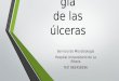 Microbiologia de las úlceras (por Javier Colomina)