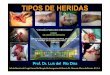 HERIDAS, TRAUMATISMOS. ANESTÉSICOS LOCALES Y TIPOS DE CIERRES. Prof. Dr. Luis del Rio Diez