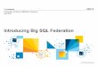 Big Data:  SQL query federation for Hadoop and RDBMS data