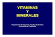 Vitaminas y Minerales 2010