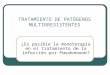 TRATAMIENTO DE LAS INFECCIONES POR Pseudomonas 