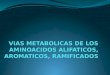Diapositivas Bioquimica IV segmento, Vías metabólicas de los aa