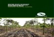 Situación actual y perspectivas de las plantaciones forestales 