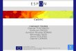 Espon 2013-Proiectul-CADEC-6sept11