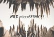 WILD microSERVICES v2 (JEEConf Edition)