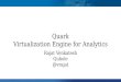 Quark Virtualization Engine for Analytics