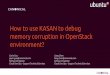 How to use KASAN to debug memory corruption in OpenStack environment- (2)