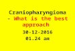 Craniopharyngioma - What is the best approach