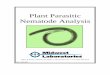 Plant parasitic-nematode-analysis