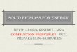 Solid biomass for energy