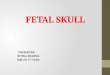 Fetal skull ppt