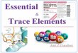 Essential & trace elements   pharmaceutical inorganic chemistry   b. pharmacy _ amit z chaudhari