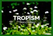 Tropism (slide share)