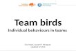 Team birds. Individual behaviours in groups