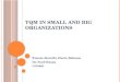 TQM in small and big organizations