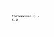 Chromosome Q-5.0 (Assam themed quiz)