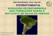 Evolução estratigráfica das formações Guará e Botucatu da bacia o Paraná