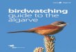 Guia de Observação de Aves no Algarve