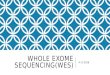 Whole exome sequencing(wes)