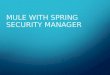 Mule with spring security manager