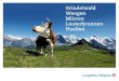 Jungfrau Region - MICE Presentation 2017