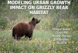 Modeling Urban Growth Impact on Grizzly Bear Habitat -- v9