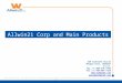 Allwin21 corp and main products 2015