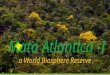Mata Atlantica  - a world biosphere reserve