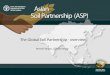 The Global soil Partnership - overview