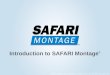 Introduction to Safari Montage